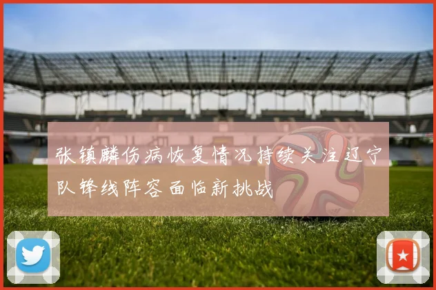 张镇麟伤病恢复情况持续关注辽宁队锋线阵容面临新挑战